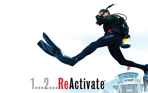 Reactivate